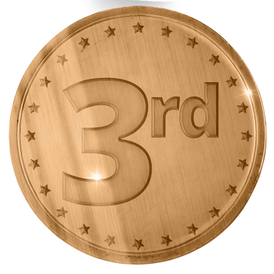 Medallion Bronze Medallion Bronze